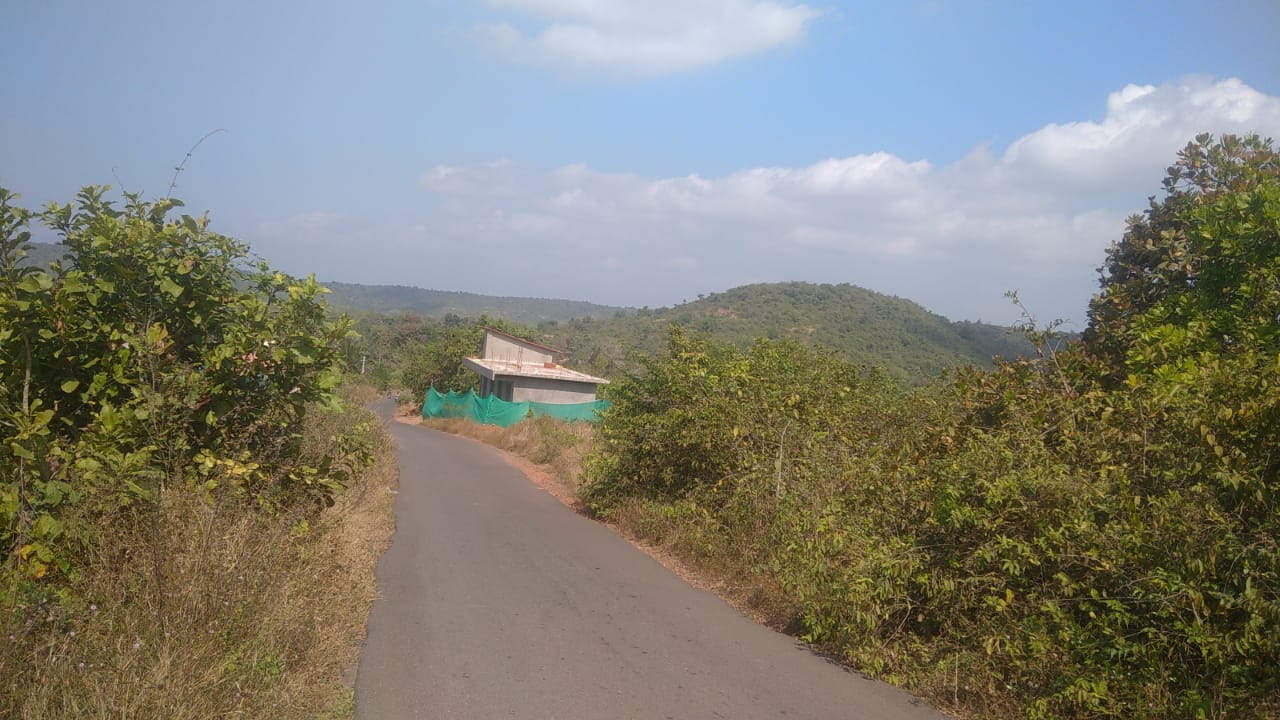 Mandrem-North Goa