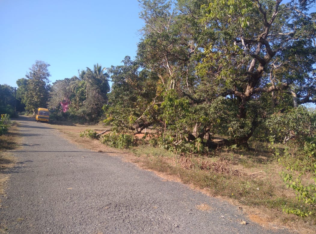 Pernem Road Korgao-North Goa