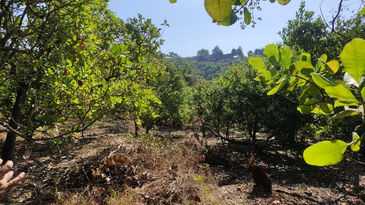 Paliyem-North Goa