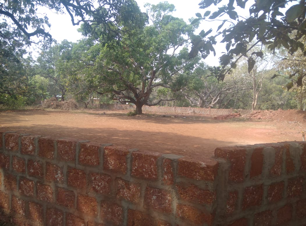 Morjim -North Goa